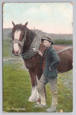 The Ploughman Working Horse Portrait Hand Tinted View