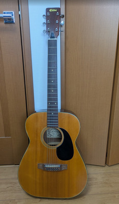 Takamine Elite F-120 Vintage 1970s Acoustic Guitar Made in Japan