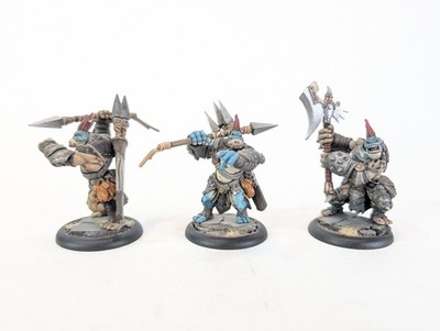Warmachine Hordes Trollbloods Lot of 3 PRO PAINTED