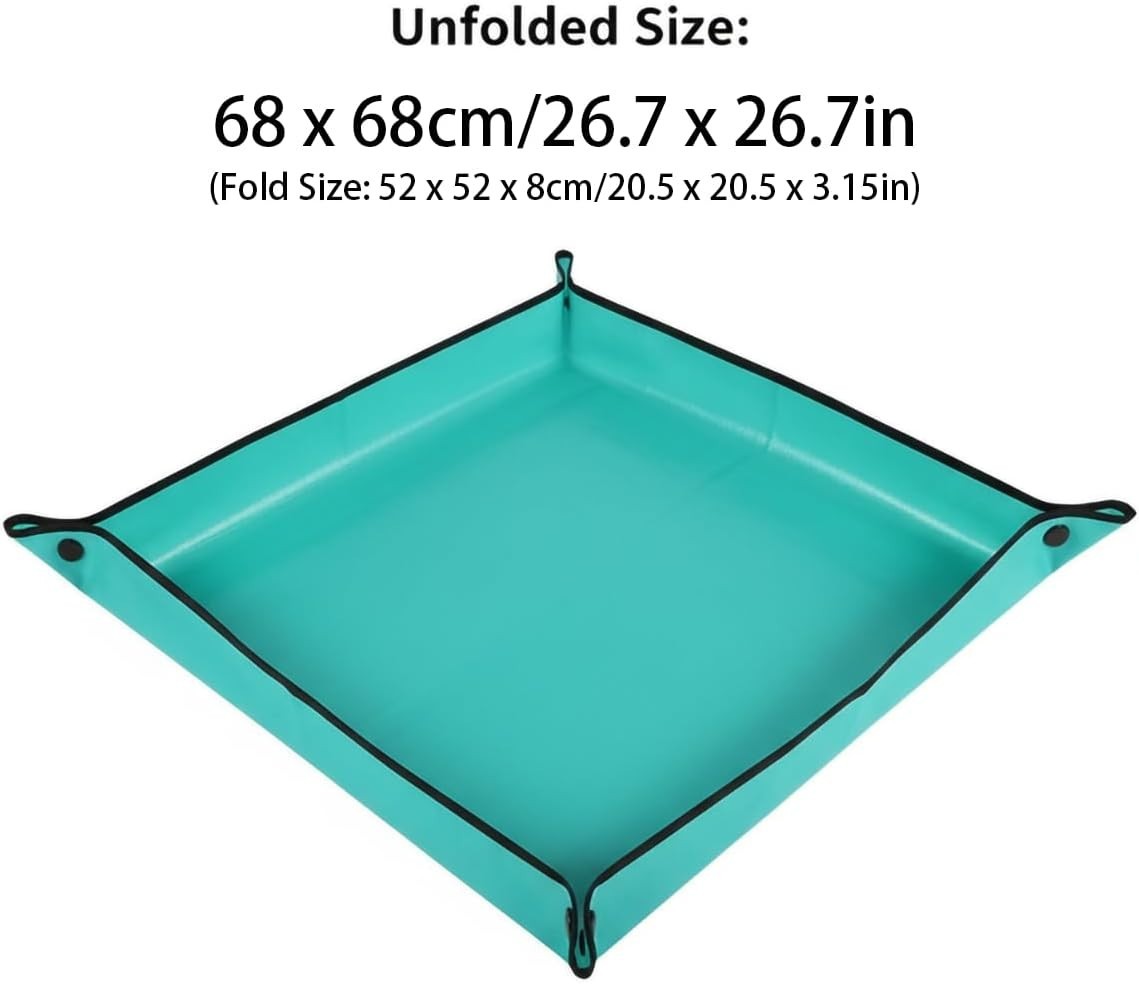 Slide 6