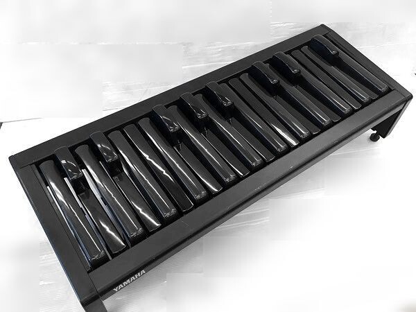 YAMAHA PK-2 ペダル＋エクスプレッションペダル Amazon | ヤマハ エレクトーン用補助ペダル PK-2 | 補助ペダル