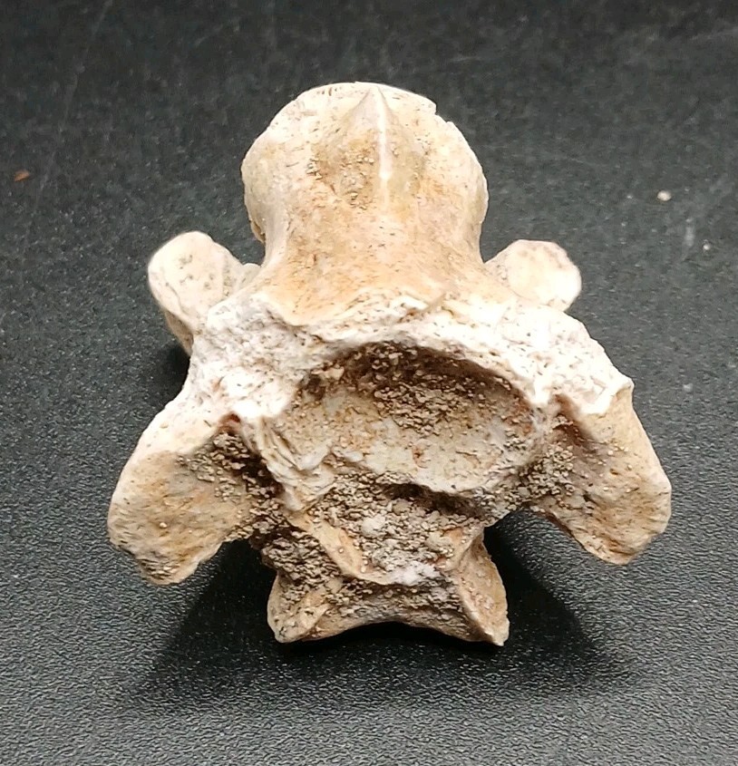 Picture 2 of 14