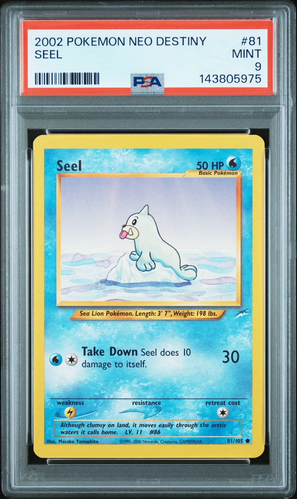 Seel #81