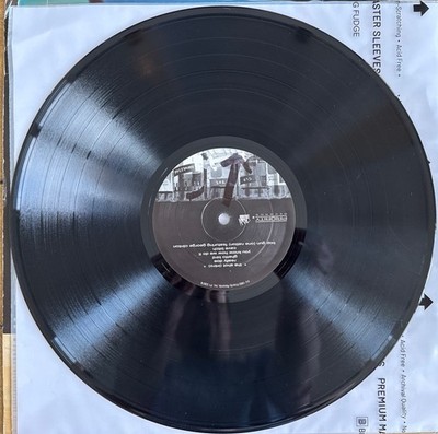 Lethal Injection [PA] by Ice Cube (Vinyl, Mar-2003, Priority