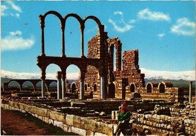 CPM AK Anjar Ruines Byzantine et Ommayade LEBANON (1494131)
