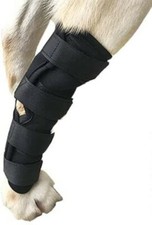 Comfortable Soft Canine Leg Joint Hock Wrap Brace For ACL / Arthritis Sz. LARGE