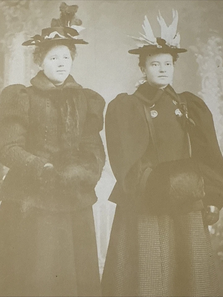 GRAND RAPIDS WISCONSIN Antique Cabinet Card Photo 1890s COATS Hats Muffs Women - Image 3 of 4