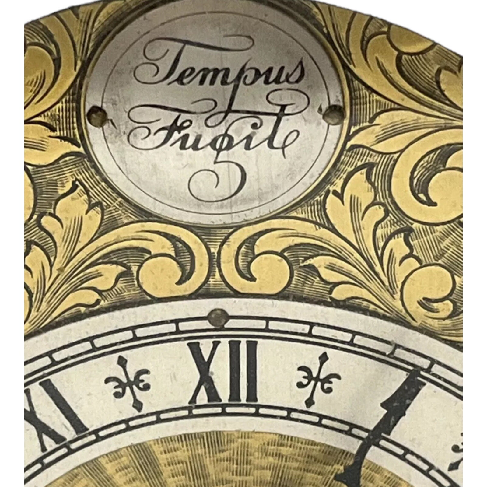 Emperor Tempus Fugit FRANZ HERMLE Westminster Chime Mantel Clock eBay