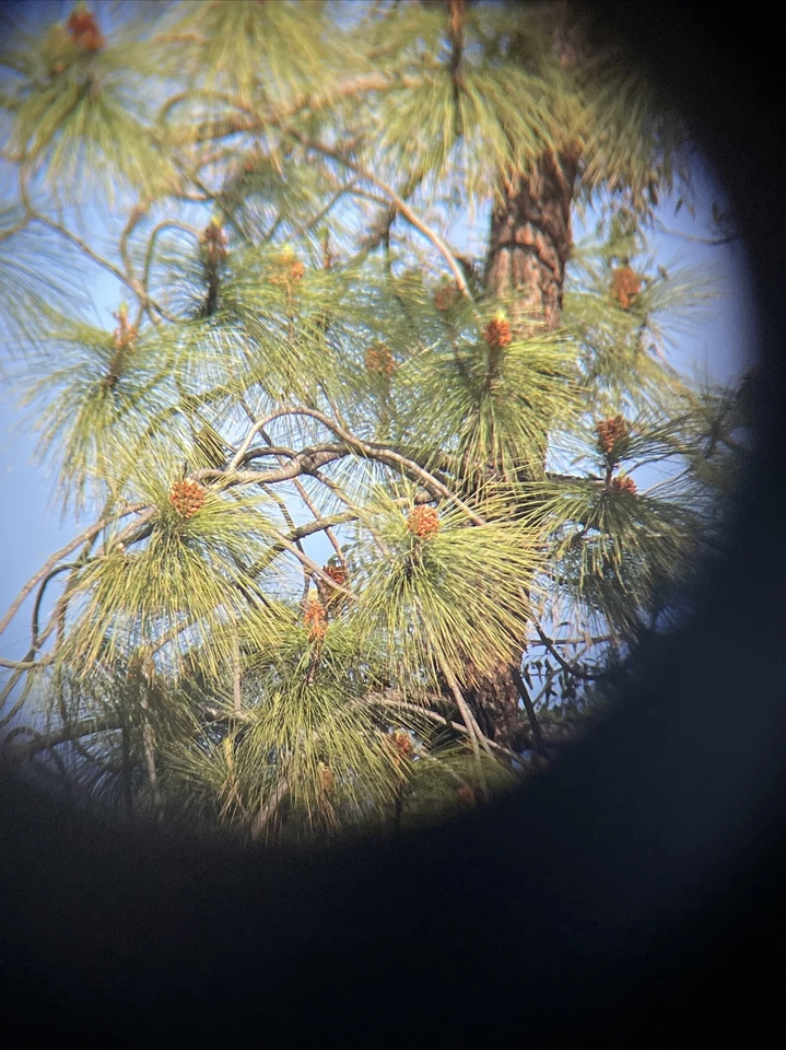 Meade 7 X 36 WA Safari pro Waterproof High Quality Binoculars - Image 3 of 4