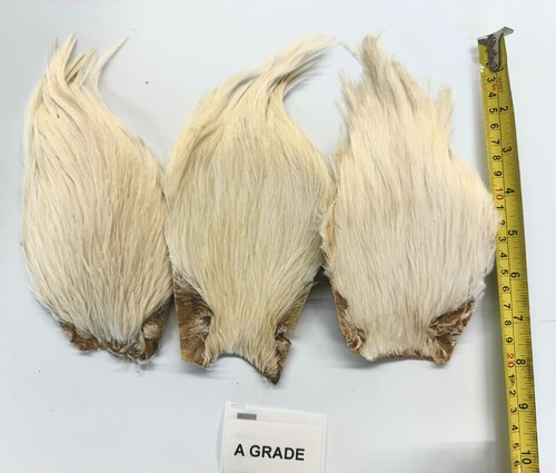 Pluma de cuello de gallo, Montaje de Moscas, colores blanco/crema, todos grados - Imagen 3 de 5