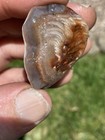 Lake Superior Agate 1.04oz — photo 7