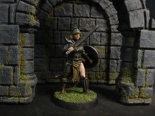 Kentara The Bold Miniature Painted Dungeons and Dragon RN Estudios 28mm