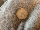 1925 S US Peace Dollar in "Good Condition"