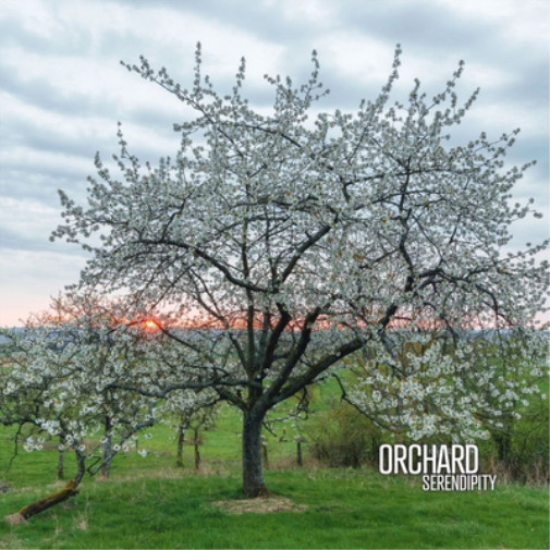 Orchard Serendipity (винил) 12-й альбом (в обложке-конверте) (ИМПОРТ ИЗ Великобритании)