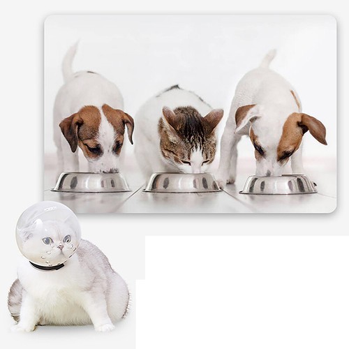 Cat Muzzle Anti Bite Breathable Grooming Mask Muzzles Bath Beauty Travel ToFic - Bild 5 von 7