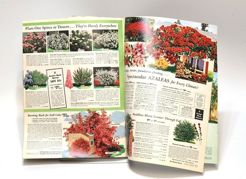 1963 MONTGOMERY WARD CATALOGO GIARDINO GIARDINAGGIO E CATALOGO SEMI - Foto 6 di 7
