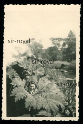 Frau steckt den Kopf durch eine großer Blume - Foto 6x9cm