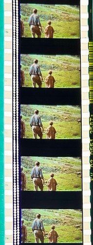 Jurassic Park 1993 Very Rare Unmounted 35mm Film Cells - Steven Spielberg - Picture 134 of 142