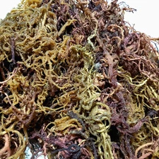 Wildcrafted Tanzanian Sea Moss | Sun-Dried Seamoss | Superfood 92 Minerals I16oz