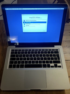 Apple MacBook Pro 13 in. 2.4GHz Dual Core 4GB RAM 250GB HDD Mid 2010 - Silver