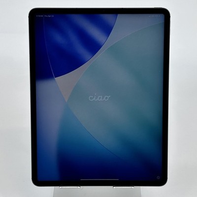 Apple iPad Pro 12.9 (5th Gen.) Gray 128GB WiFi - Bluetooth/Separation - Good