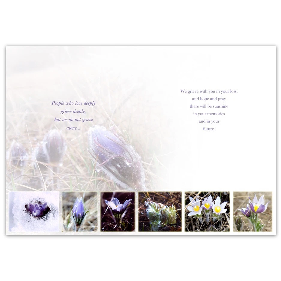 Grief and Loss Greeting Card Made in Canada prairie crocus Flower - Image 2 of 3