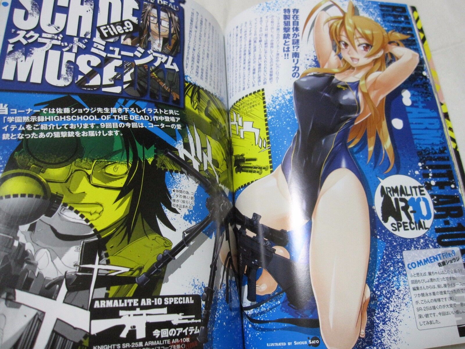 Highschool of the Dead  Manga Collection and Overview 