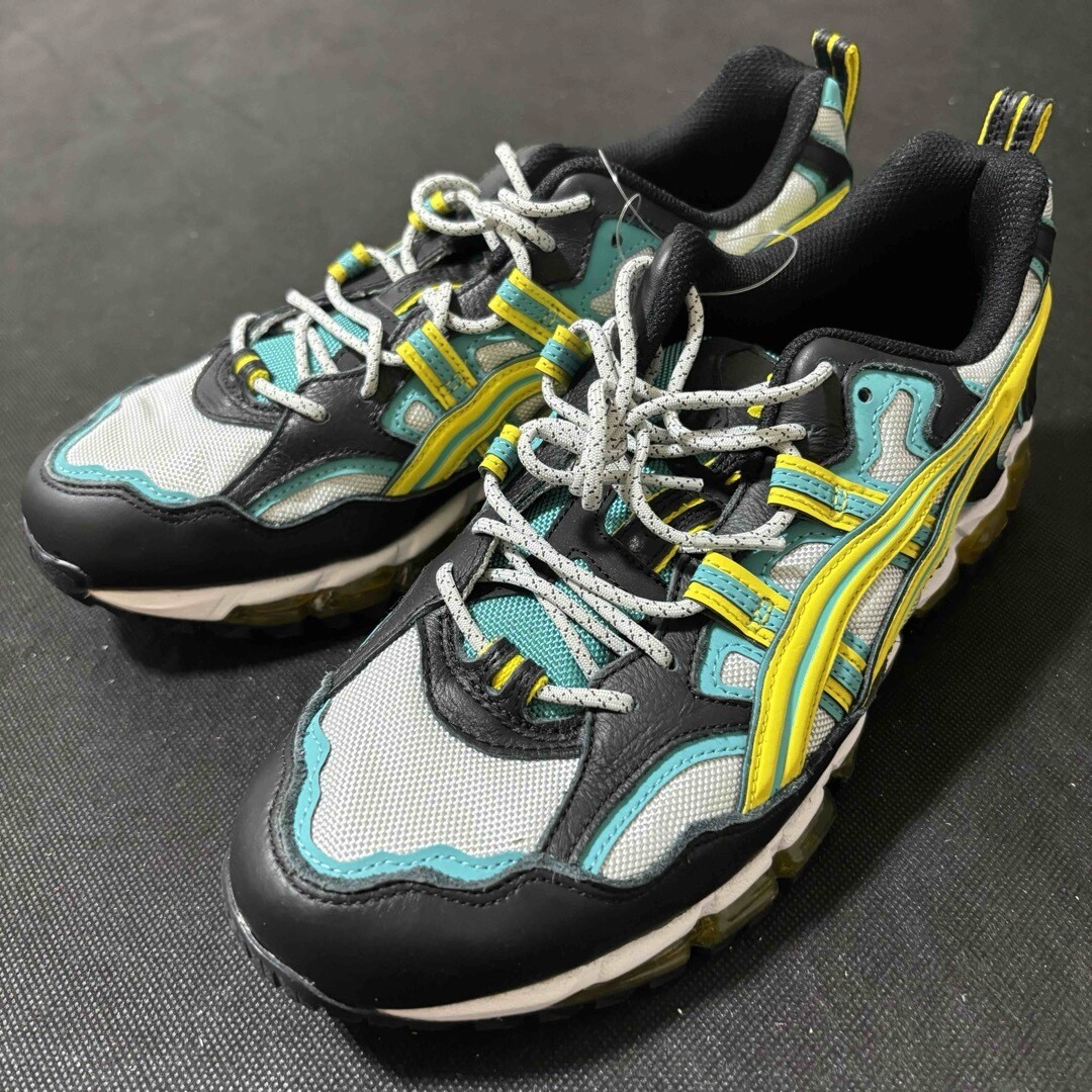 Men Asics Gel-Nandi 360 1021A325-020