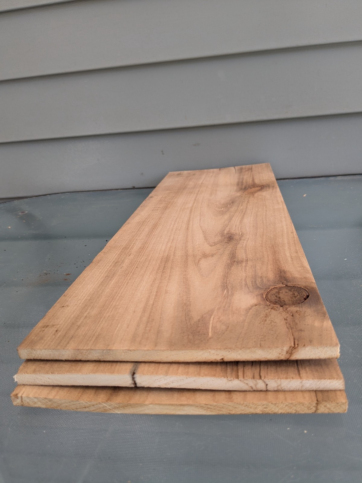 3 Thin Antique Old Growth Pine Wood Panels 19 1/2" X 6 1/2" X 1/4"  Lot  X75