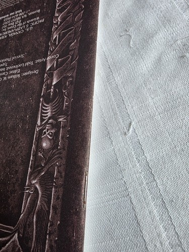 Ad&d Advanced Dungeons and Dragons Ravenloft The Forgotten Terror - Picture 6 of 10