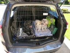 Pet World Ford Mondeo Estate Sloping Dog Crate - Training, Travel Cage for Pets