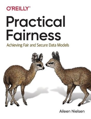 Aileen Nielsen Practical Fairness (Paperback)