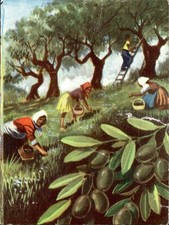 figurina Genti e paesi dell'arte 1967 # 82