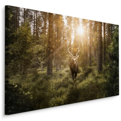 CANVAS Leinwand Bilder XXL Wandbilder Kunstdruck Hirsch Wald Bäume Sonne 842