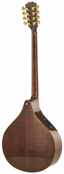 Concert Irish Bouzouki with EQ + Soft Case - Image 2 of 4