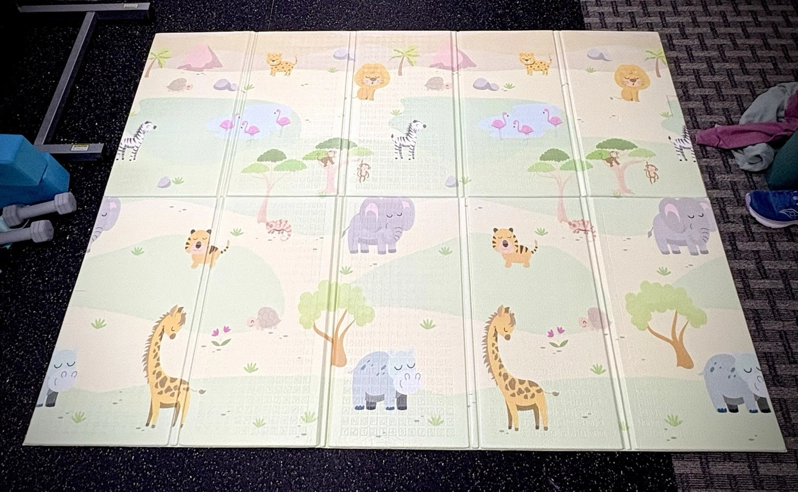 Baby Play Mat: Foldable & Reversible with Alphabet Grid & Safari Animals 58”x77”
Opens in a new wind