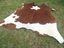 NEW LARGE BROWN  WHITE SPOTED Cowhide Rug natural Cowhides Cow Hide Skin 6X6 WS