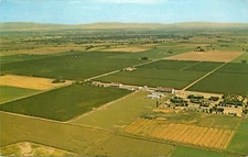 Vintage Postcard; Air View Hop Ranch Yakima River Valley, Eastern Washington WA