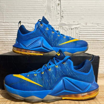 Nike LeBron 12 Low Entourage Sz 13 | eBay