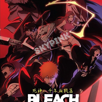 Bleach:Thousand-Year Blood War Part 1: (1-13 End) Anime DVD Eng