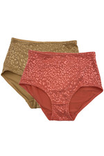 Rhonda Shear 2-pack Jacquard Smoothing Brief Carol/Sun Tan