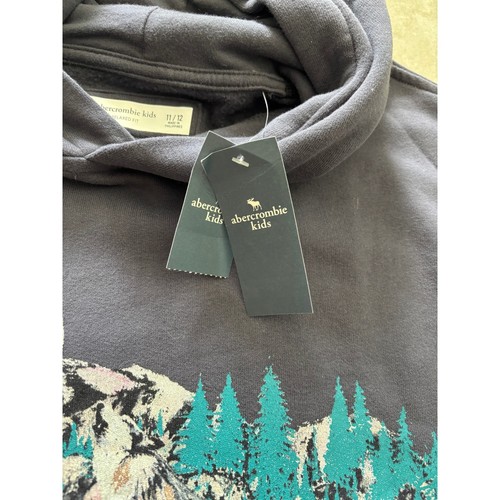Abercrombie Kids Sweatshirt Boys 11/12 Blue Yosemite Hoodie Outdoor Adventure - Picture 7 of 8