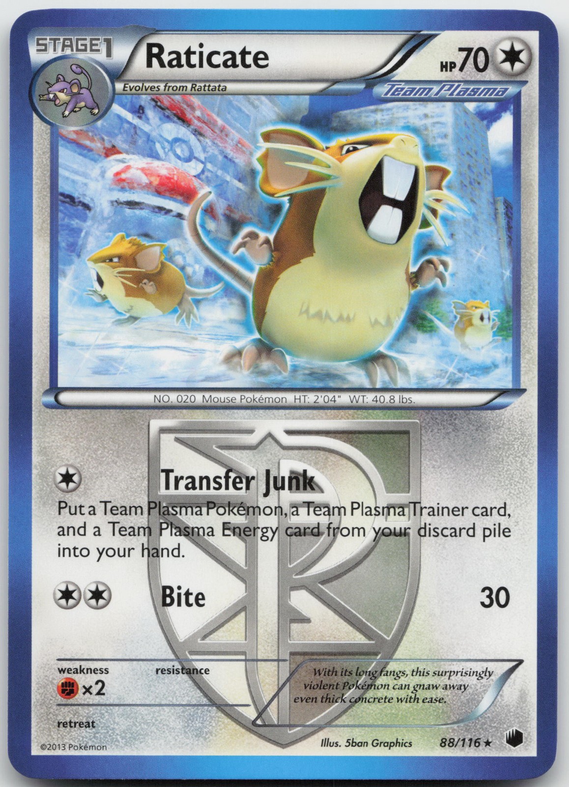 Raticate (Team Plasma) Rare Plasma Freeze 88/116 LP