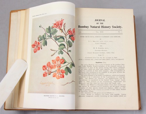 INDIA Natural History wildlife 1940-41 rare Journal Bombay superb illustrations - Picture 5 of 24