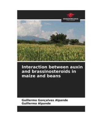 Interaction between auxin and brassinosteroids in maize and beans, Guillermo Gon