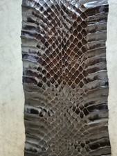 Vintage Real Snakeskin ~ 175 x 10 cm approx.