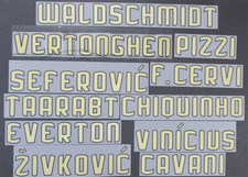 BENFICA 2020 2021 OFFICIAL HOME PLAYER SIZE SHIRT NAME BLOCKS