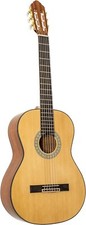 Peavey Delta Woods Cns-1 Classical Nylon String Guitar