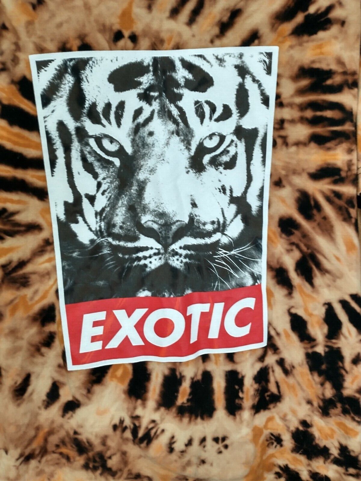 Zdjęcie 2 z 4
