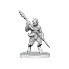 WizKids Dungeons Dragons Nolzur's Marvelous Miniatures Unpainted Figures W